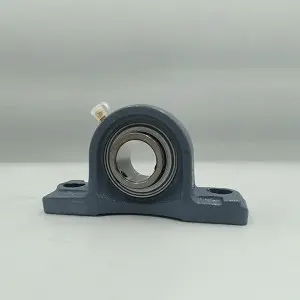2019 High quality China NSK NTN Asahi Koyo Pillow Block Bearing Textile Machinery Bearings Housings P312